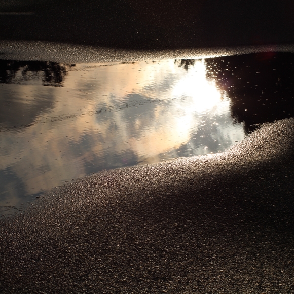 Meet your Posher, Rebel - Picture 7 of 8